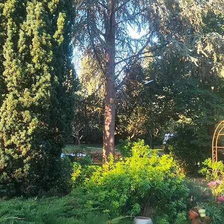 Domaine Le Bas Bois Neuville-sur-Sarthe