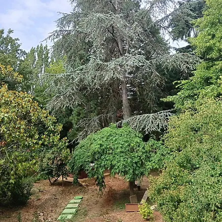 Casa de hóspedes Domaine Le Bas Bois Neuville-sur-Sarthe